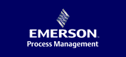 Emerson Process